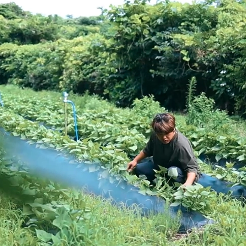 【東京たましま移住定住動画】島しょ地域(新島村)Vol.1